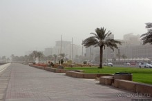 Вышла Доха из тумана