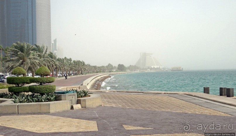 Вышла Доха из тумана