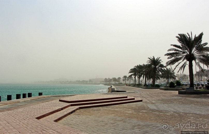 Вышла Доха из тумана