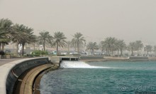 Вышла Доха из тумана