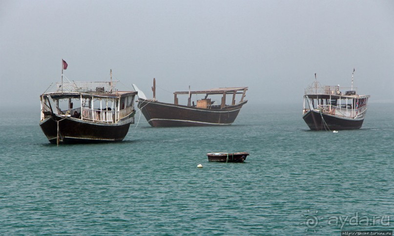 Вышла Доха из тумана