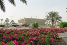 Вышла Доха из тумана