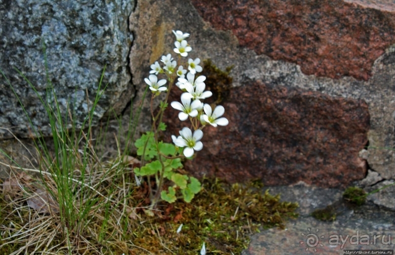 Бомарсунд — скандинавская 