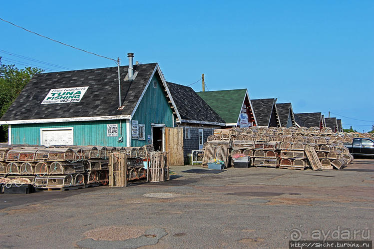 Растико — мекка любителей морской рыбалки и ловли лобстеров Растико — мекка любителей морской рыбалки и ловли лобстеров