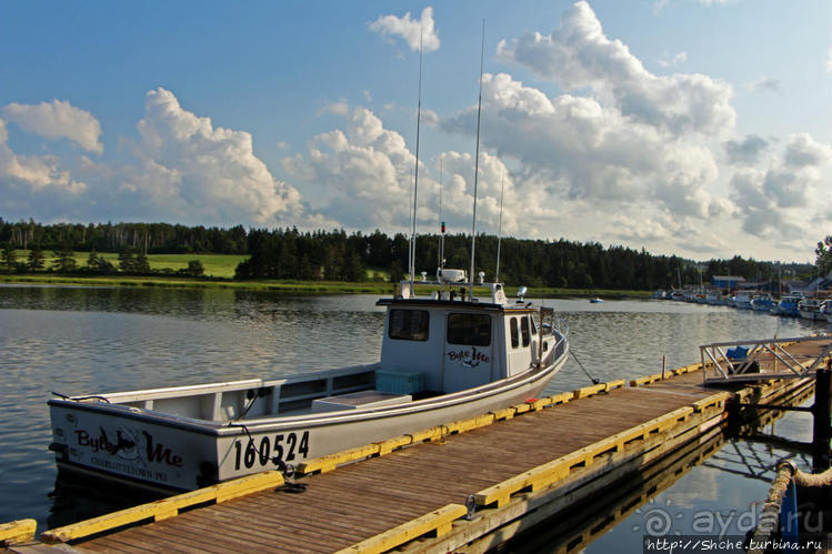 Растико — мекка любителей морской рыбалки и ловли лобстеров Растико — мекка любителей морской рыбалки и ловли лобстеров