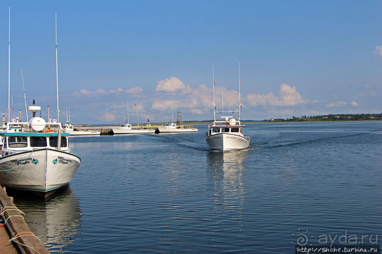 Растико — мекка любителей морской рыбалки и ловли лобстеров Растико — мекка любителей морской рыбалки и ловли лобстеров