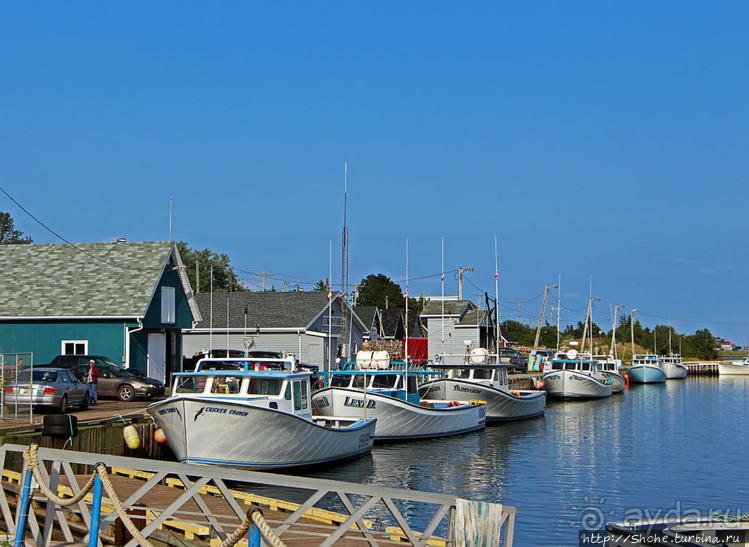 Растико — мекка любителей морской рыбалки и ловли лобстеров Растико — мекка любителей морской рыбалки и ловли лобстеров