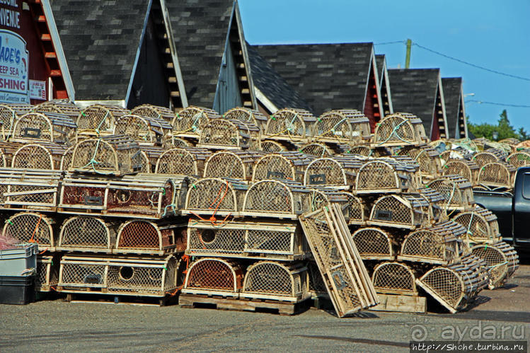 Растико — мекка любителей морской рыбалки и ловли лобстеров Растико — мекка любителей морской рыбалки и ловли лобстеров