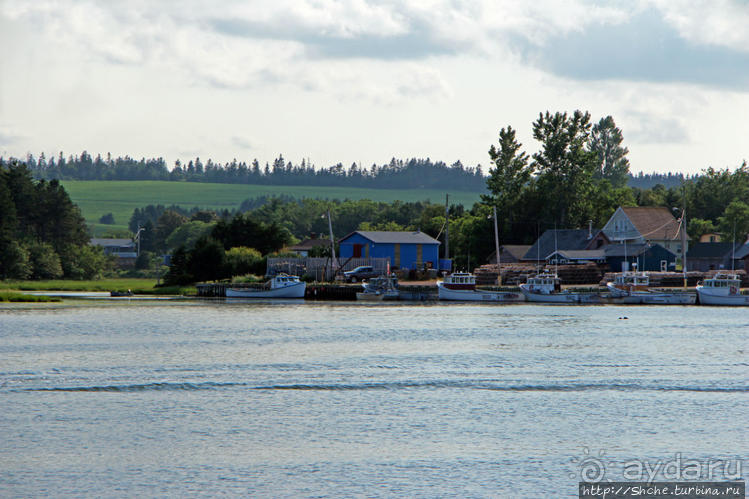 Растико — мекка любителей морской рыбалки и ловли лобстеров Растико — мекка любителей морской рыбалки и ловли лобстеров