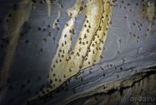 Волшебство. Подземная река Пуэрто Принцеса (ЮНЕСКО № 652)