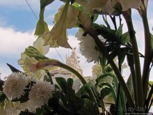 Торговая площадь Лиссабона — ночью и днем, сверху и снизу