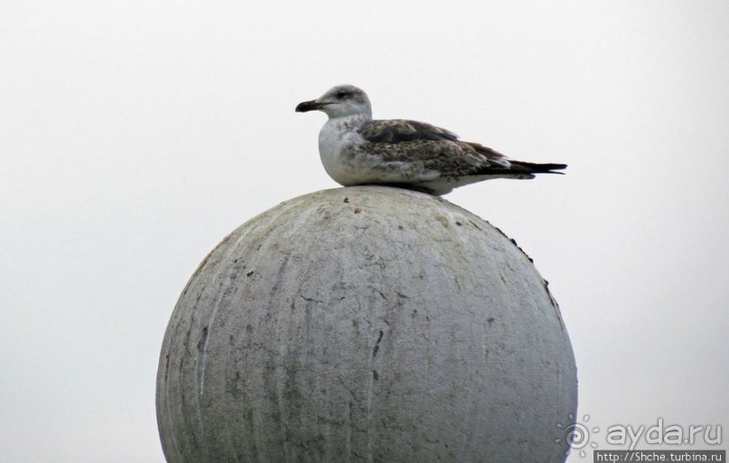 Торговая площадь Лиссабона — ночью и днем, сверху и снизу