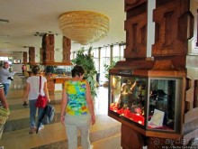 Поесть крокодила в Антананариву