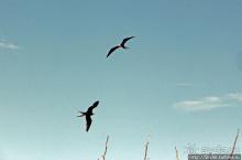 Исследовательская станция Чарльза Дарвина