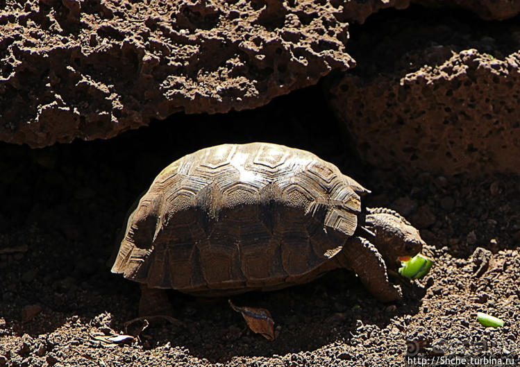 Исследовательская станция Чарльза Дарвина