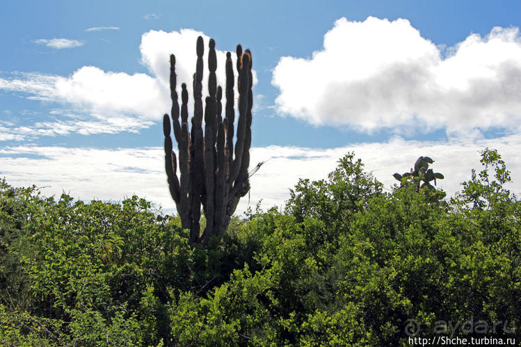 Исследовательская станция Чарльза Дарвина