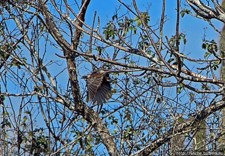 Исследовательская станция Чарльза Дарвина