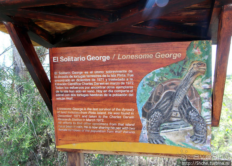 Исследовательская станция Чарльза Дарвина