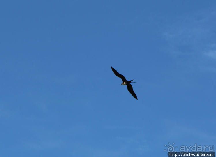 Исследовательская станция Чарльза Дарвина