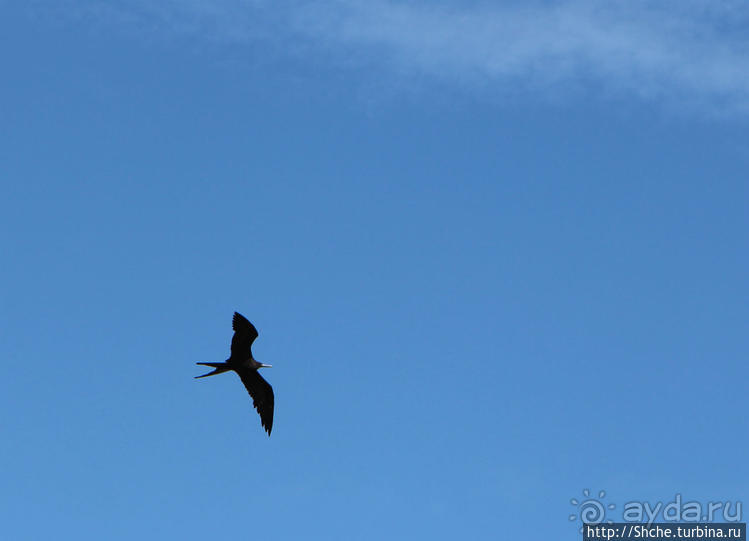 Исследовательская станция Чарльза Дарвина