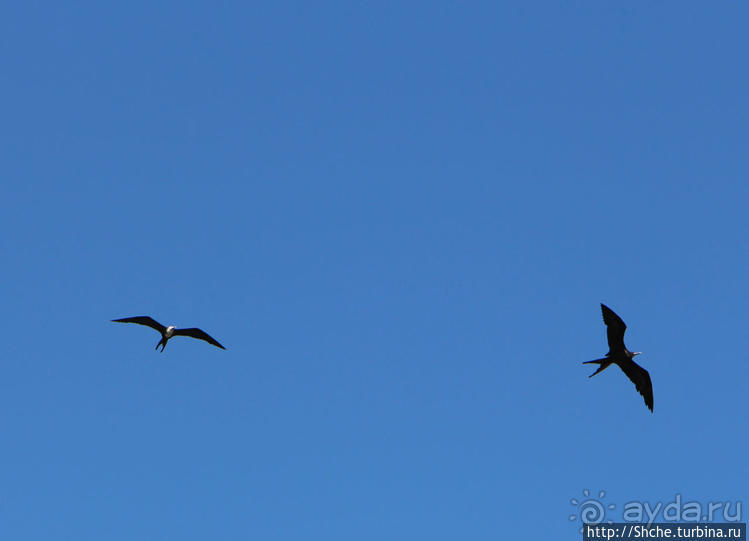 Исследовательская станция Чарльза Дарвина