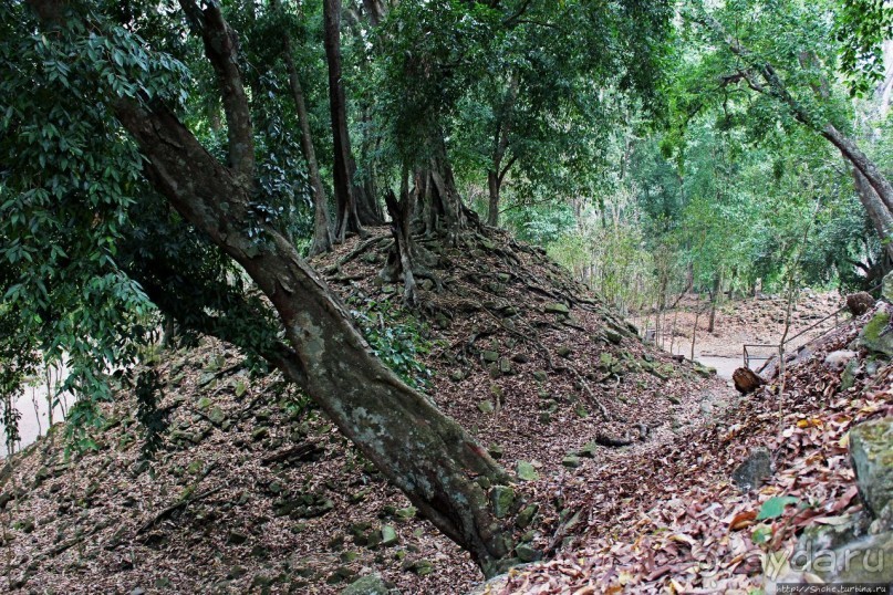 Копан — центр майянского царства Шукууп