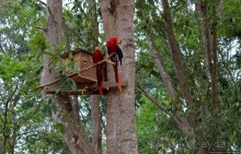 Копан — центр майянского царства Шукууп