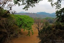 Копан — центр майянского царства Шукууп