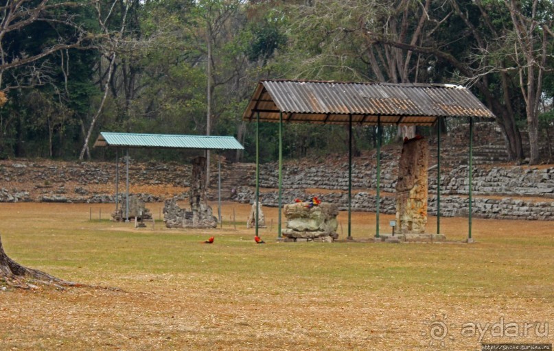 Копан — центр майянского царства Шукууп