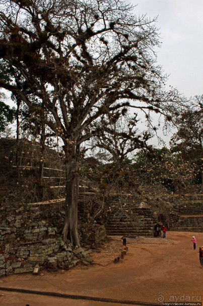 Копан — центр майянского царства Шукууп