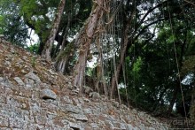 Копан — центр майянского царства Шукууп