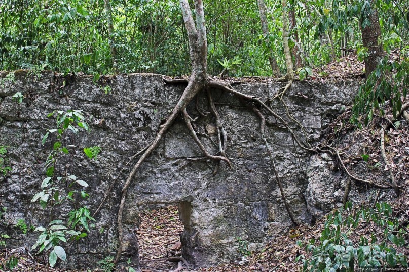 Тикаль. Мундо Пердидо (Затерянный мир)