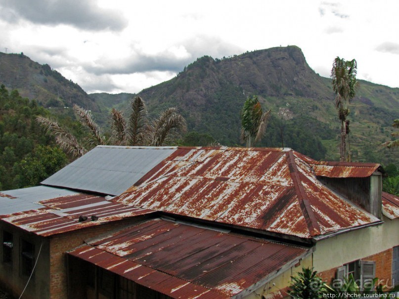Частный заповедник для знакомства с фауной Мадагаскара