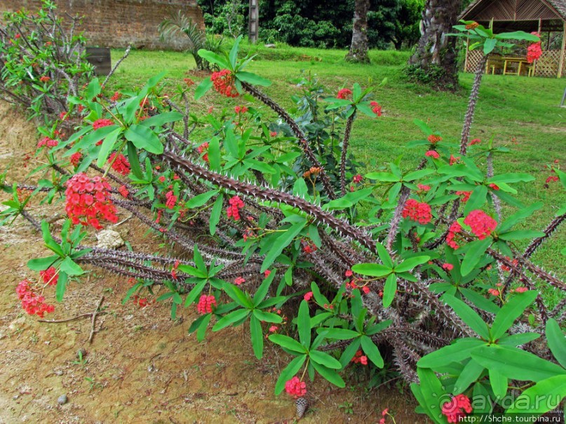 Частный заповедник для знакомства с фауной Мадагаскара