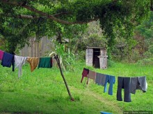 Частный заповедник для знакомства с фауной Мадагаскара