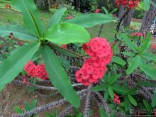 Частный заповедник для знакомства с фауной Мадагаскара