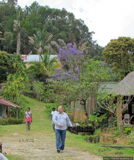 Частный заповедник для знакомства с фауной Мадагаскара