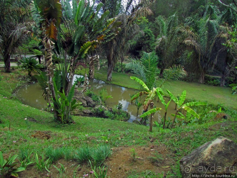 Частный заповедник для знакомства с фауной Мадагаскара