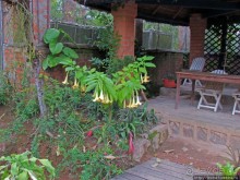 Частный заповедник для знакомства с фауной Мадагаскара