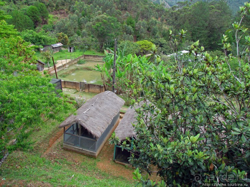 Частный заповедник для знакомства с фауной Мадагаскара
