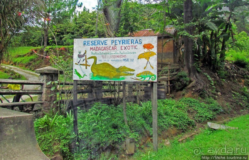 Частный заповедник для знакомства с фауной Мадагаскара