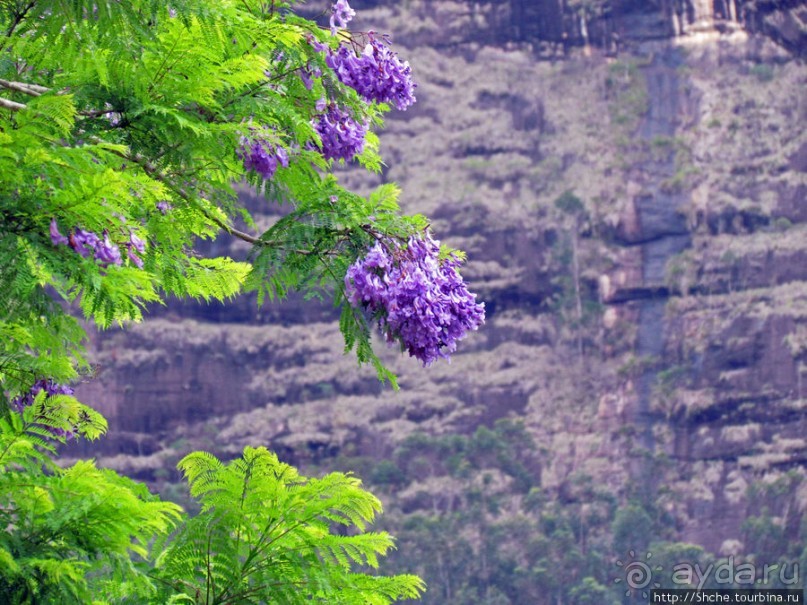Частный заповедник для знакомства с фауной Мадагаскара
