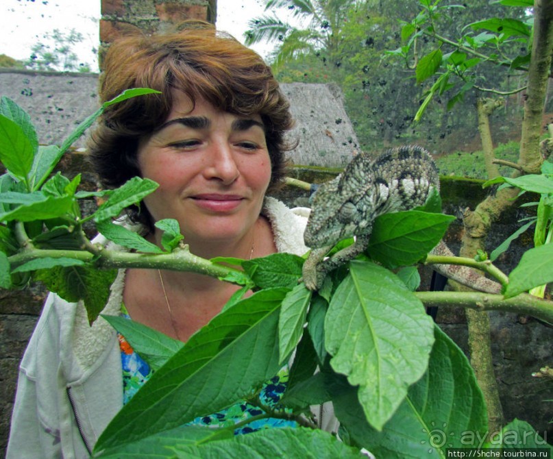 Частный заповедник для знакомства с фауной Мадагаскара