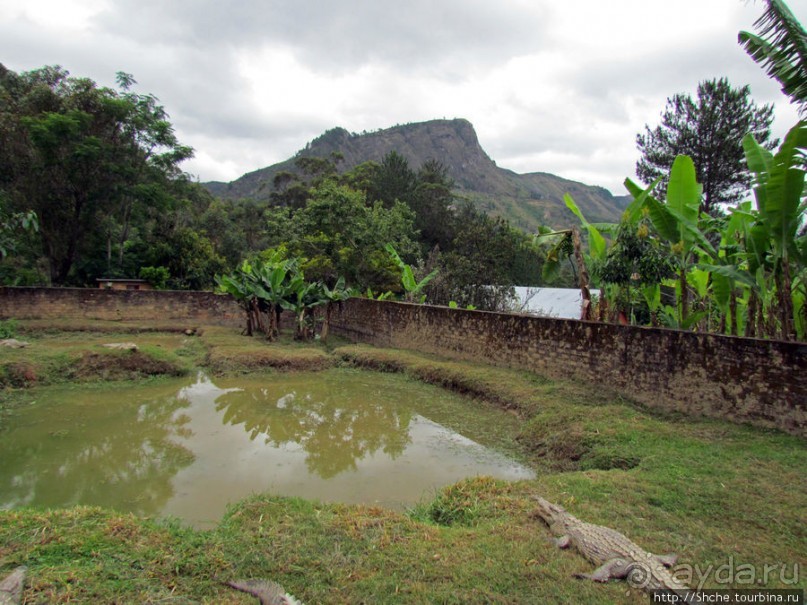 Частный заповедник для знакомства с фауной Мадагаскара