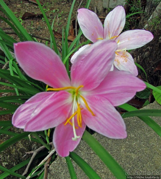 Частный заповедник для знакомства с фауной Мадагаскара