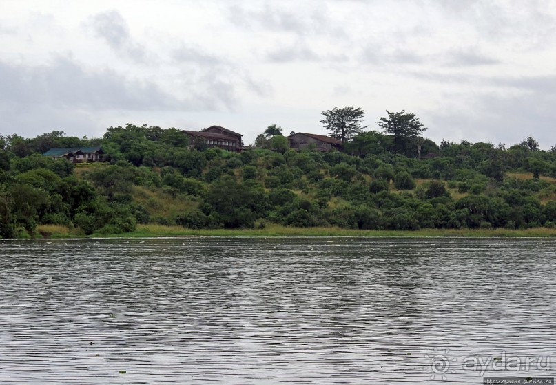 Виктория-Нил: паромная переправа и первые бегемоты