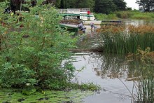 Виктория-Нил: паромная переправа и первые бегемоты