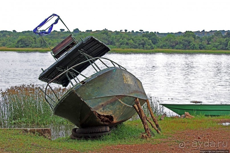 Виктория-Нил: паромная переправа и первые бегемоты
