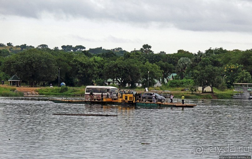 Виктория-Нил: паромная переправа и первые бегемоты