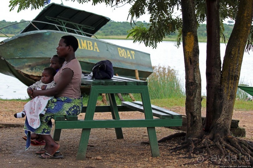 Виктория-Нил: паромная переправа и первые бегемоты